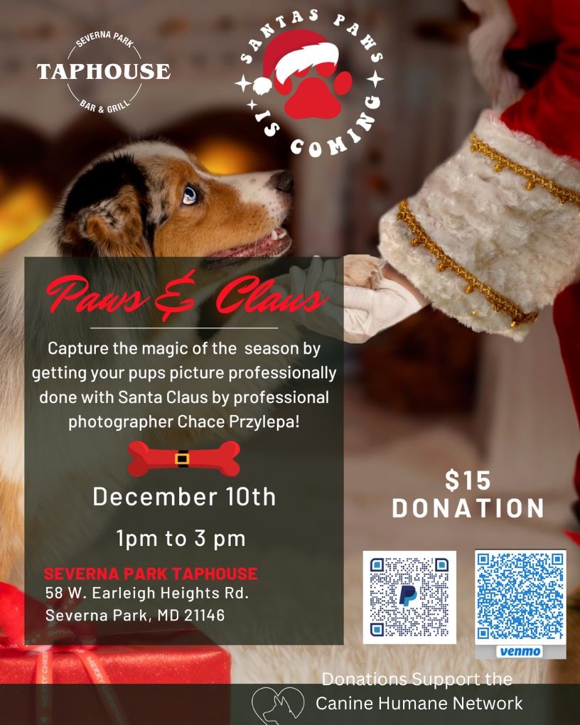 Donations-Support-the-Canine-Humane-Network.jpg
