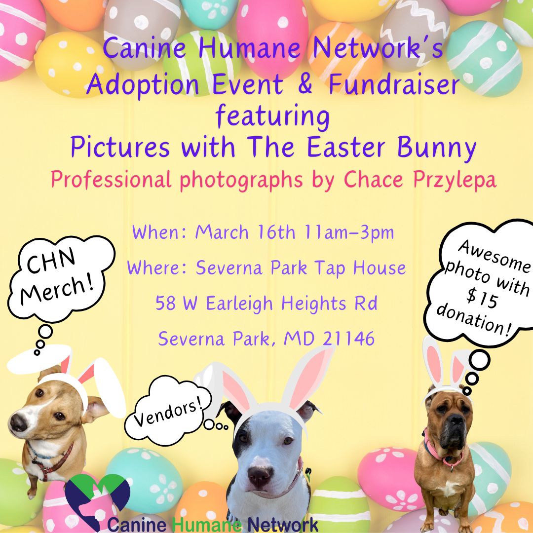 Easter-Fundraiser-1-4-1.png